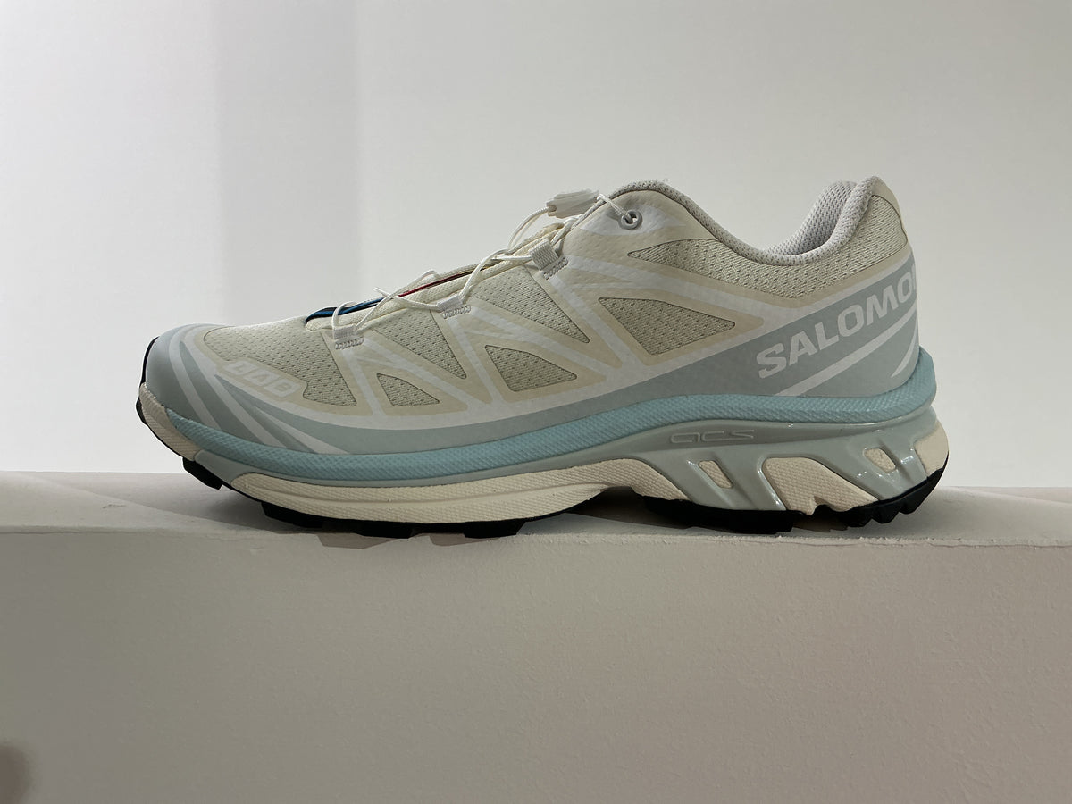 Salomon xt6