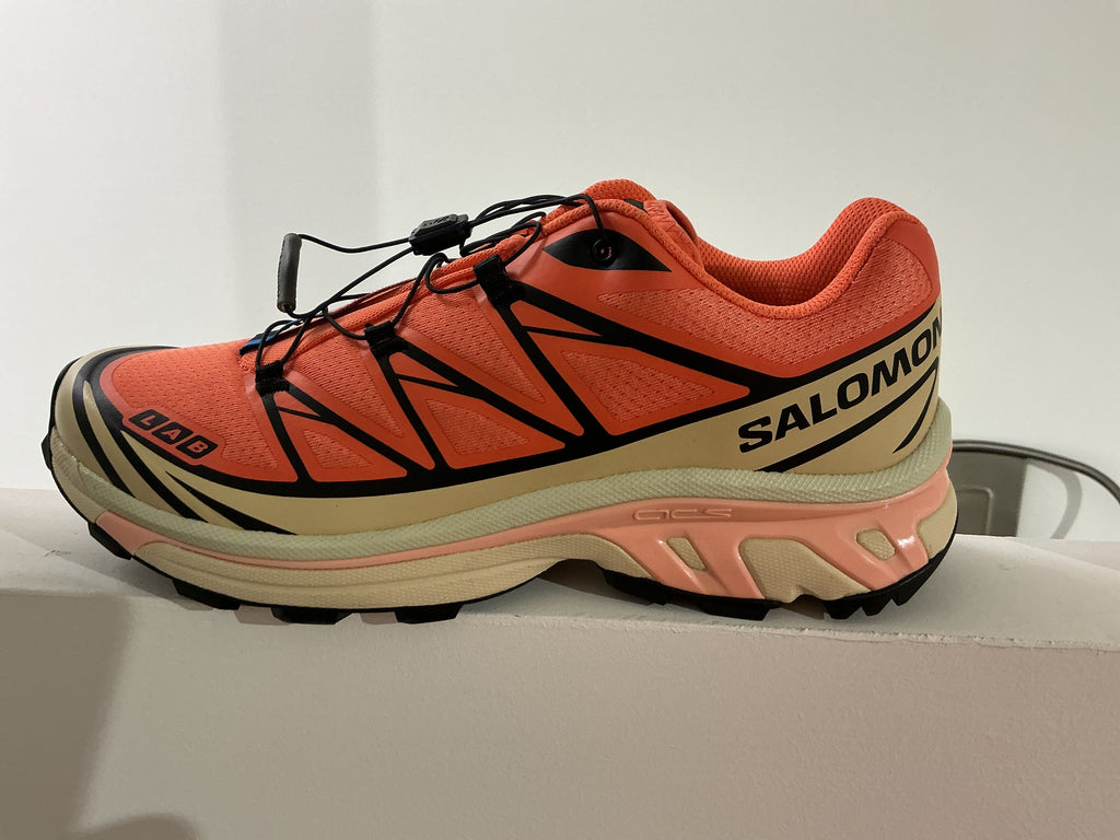 Salomon Xt6
